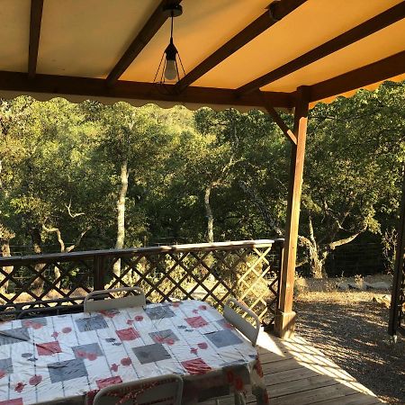 Camping De Parpaillon Roquebrune-sur-Argens Eksteriør bilde