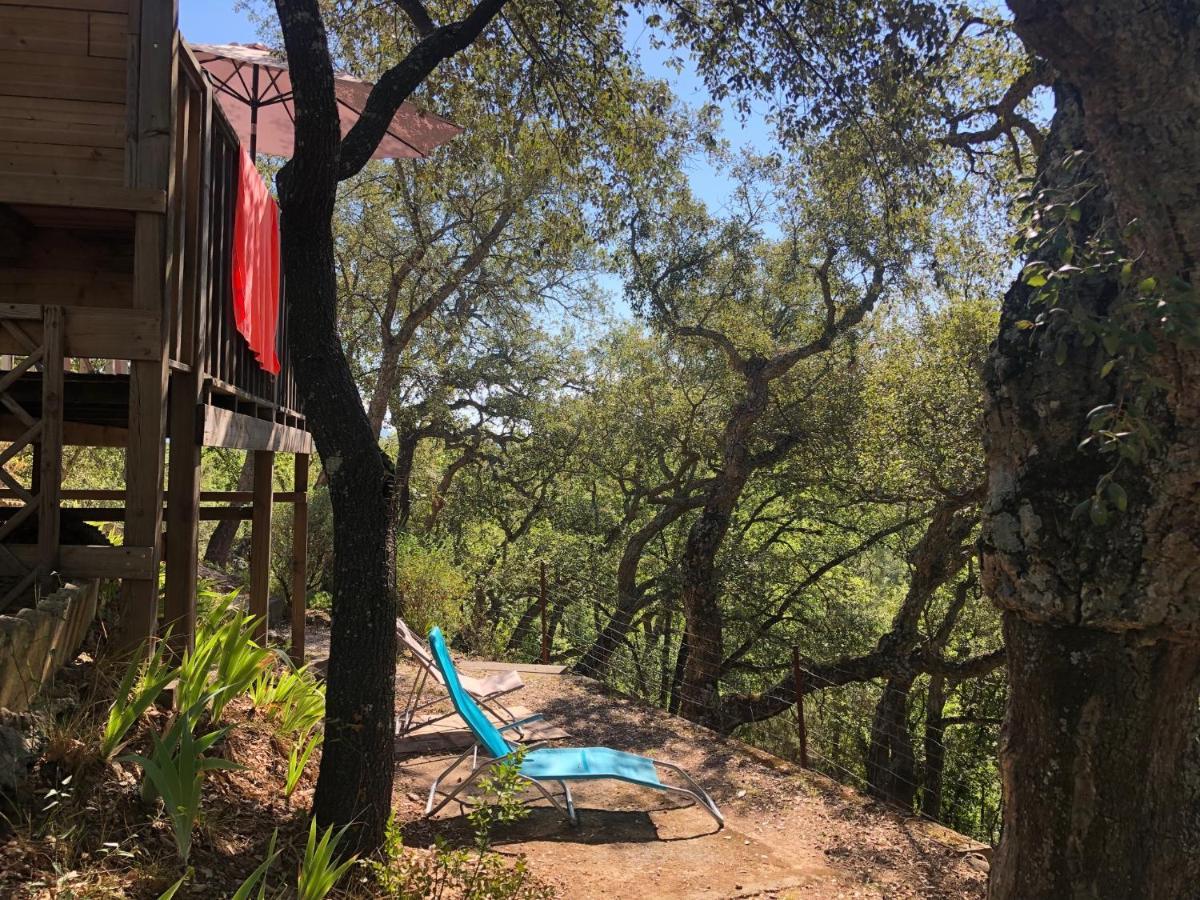 Camping De Parpaillon Roquebrune-sur-Argens Eksteriør bilde